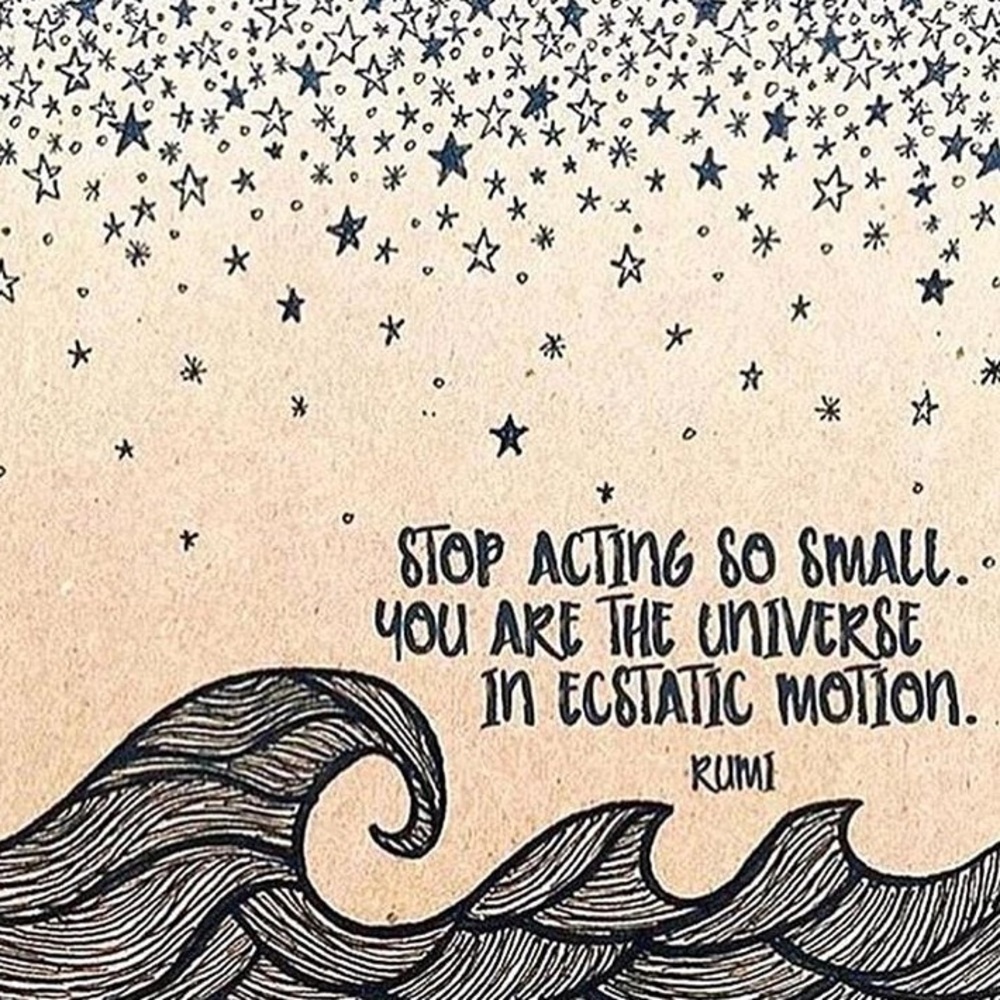 Meet your Posher, Callie